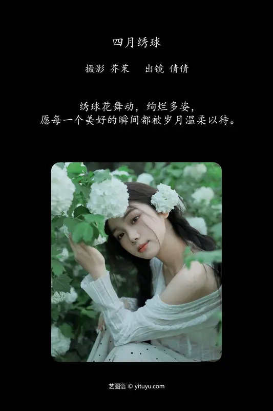[YITUYU艺图语]2024.06.05 四月绣球 我不刷鸟 - 艺图语